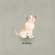 Load image into Gallery viewer, pet portraits