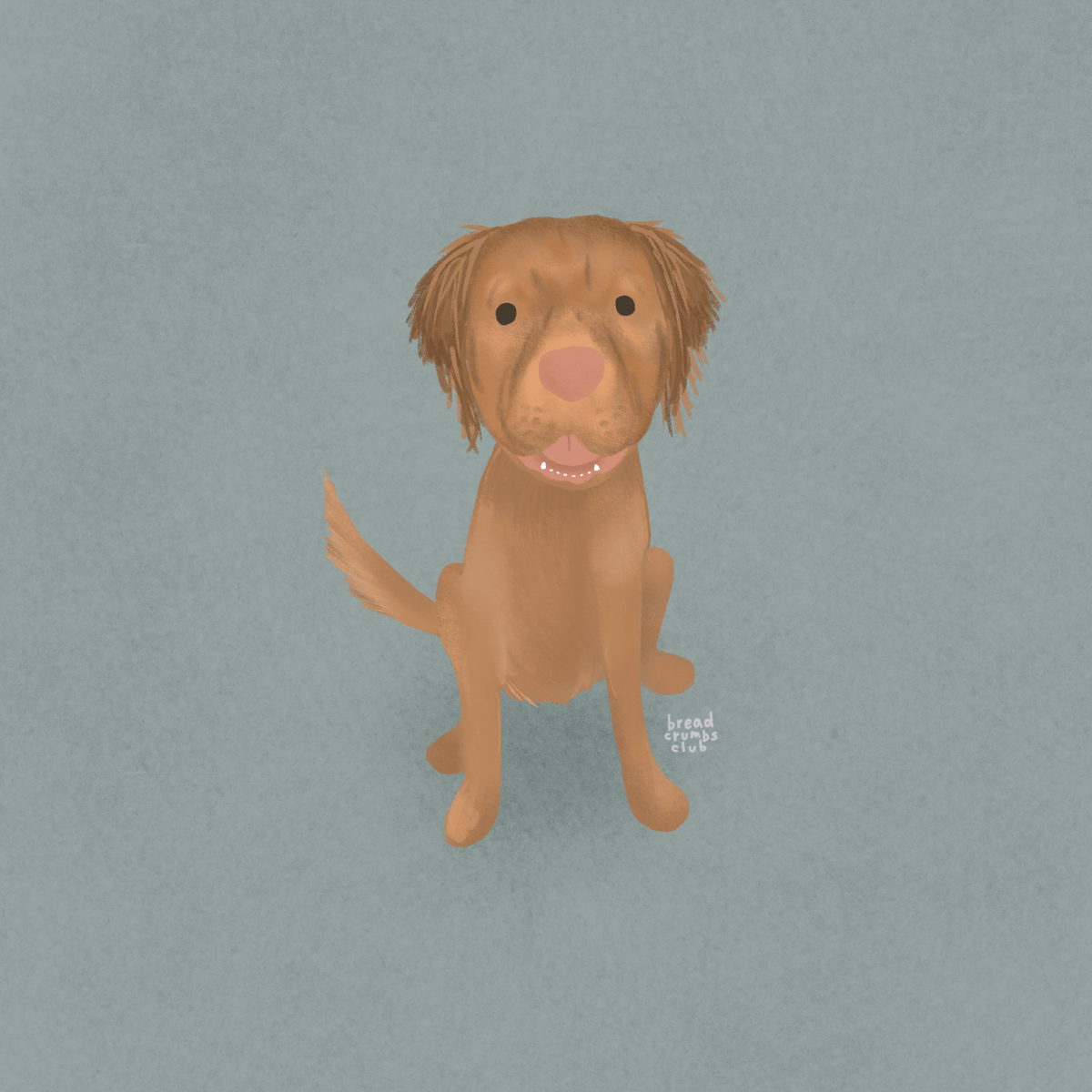 pet portraits Breadcrumbs Club