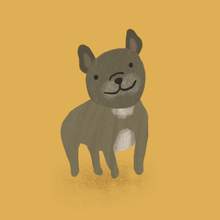 Load image into Gallery viewer, pet portraits