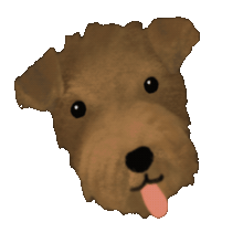 Load image into Gallery viewer, illustrated pet headshots // special release