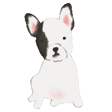 Load image into Gallery viewer, Headshot Animated GIF Add-On