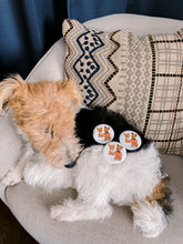 Load image into Gallery viewer, AAPI FUNDRAISER - Protest Pups Button Pins