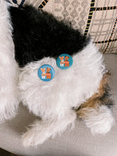 Load image into Gallery viewer, AAPI FUNDRAISER - Protest Pups Button Pins