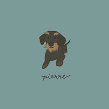 Load image into Gallery viewer, pet portraits